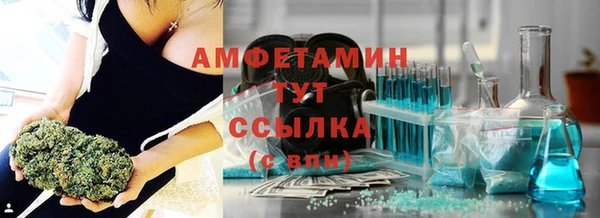 ПСИЛОЦИБИНОВЫЕ ГРИБЫ Алзамай