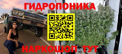 ALPHA PVP Пугачёв
